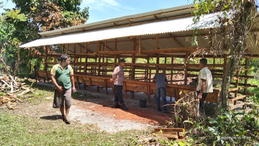 PETERNAKAN SAPI DESA SIMPANG KECAMATAN KAWAY XVI KABUPATEN ACEH BARAT